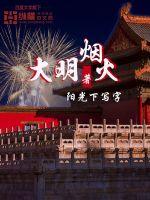 大明烟火封面